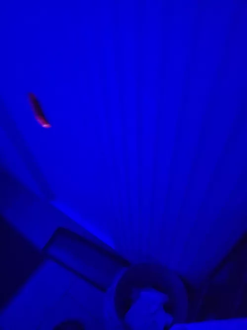 The House (Friday/25) Halloween party Event by Mingler