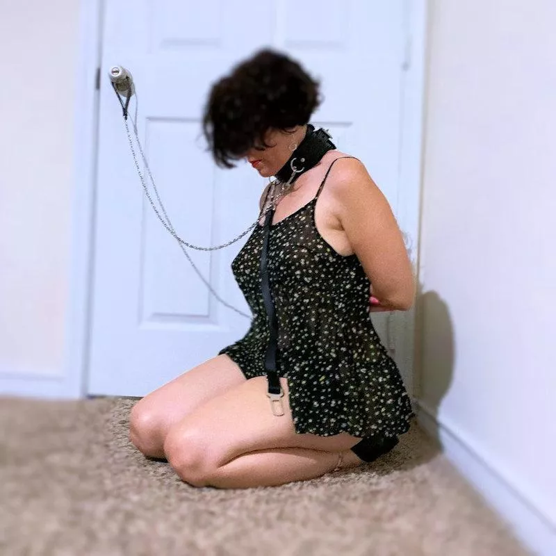 Waiting by the door to greet a black dom