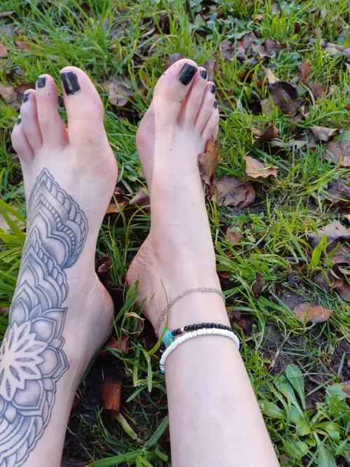 What would you say if you see me like this in your park?