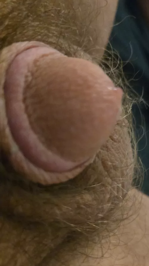 Where do have you had outdoor sex around Eau Claire? M43