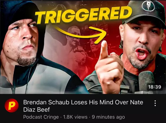 Would you like to see Anon talk about this?