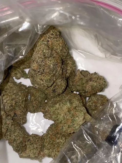 24[M4F]#salford- any sexy stoner girls fancy getting stoned and fooling around 👀