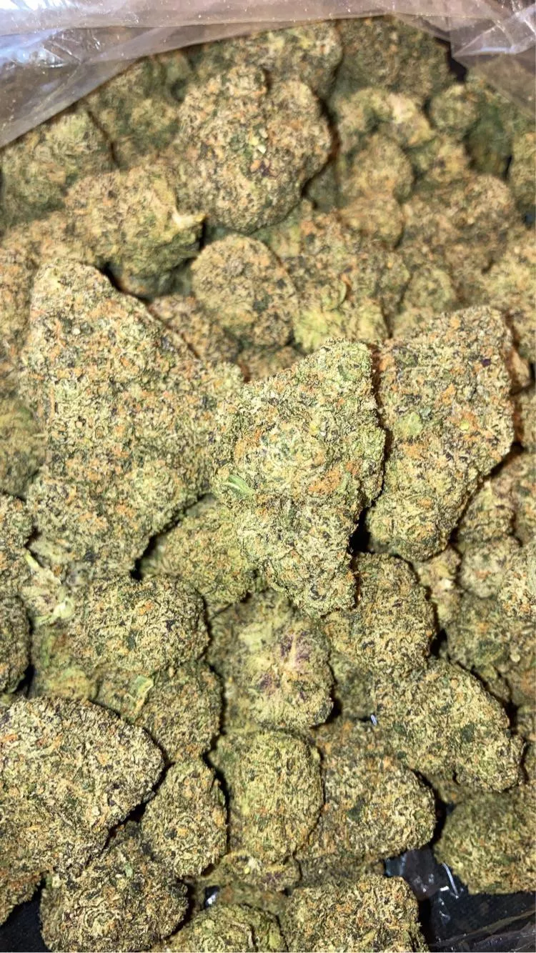 Arlington 🔥🚗📲