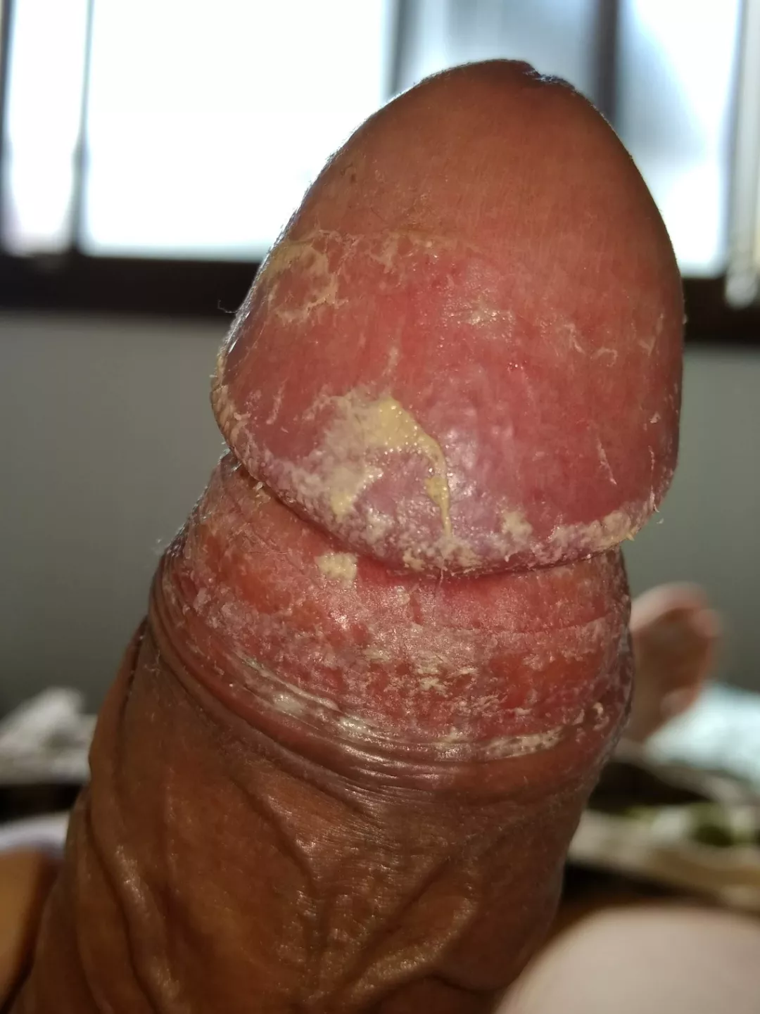 Check out my profile for more