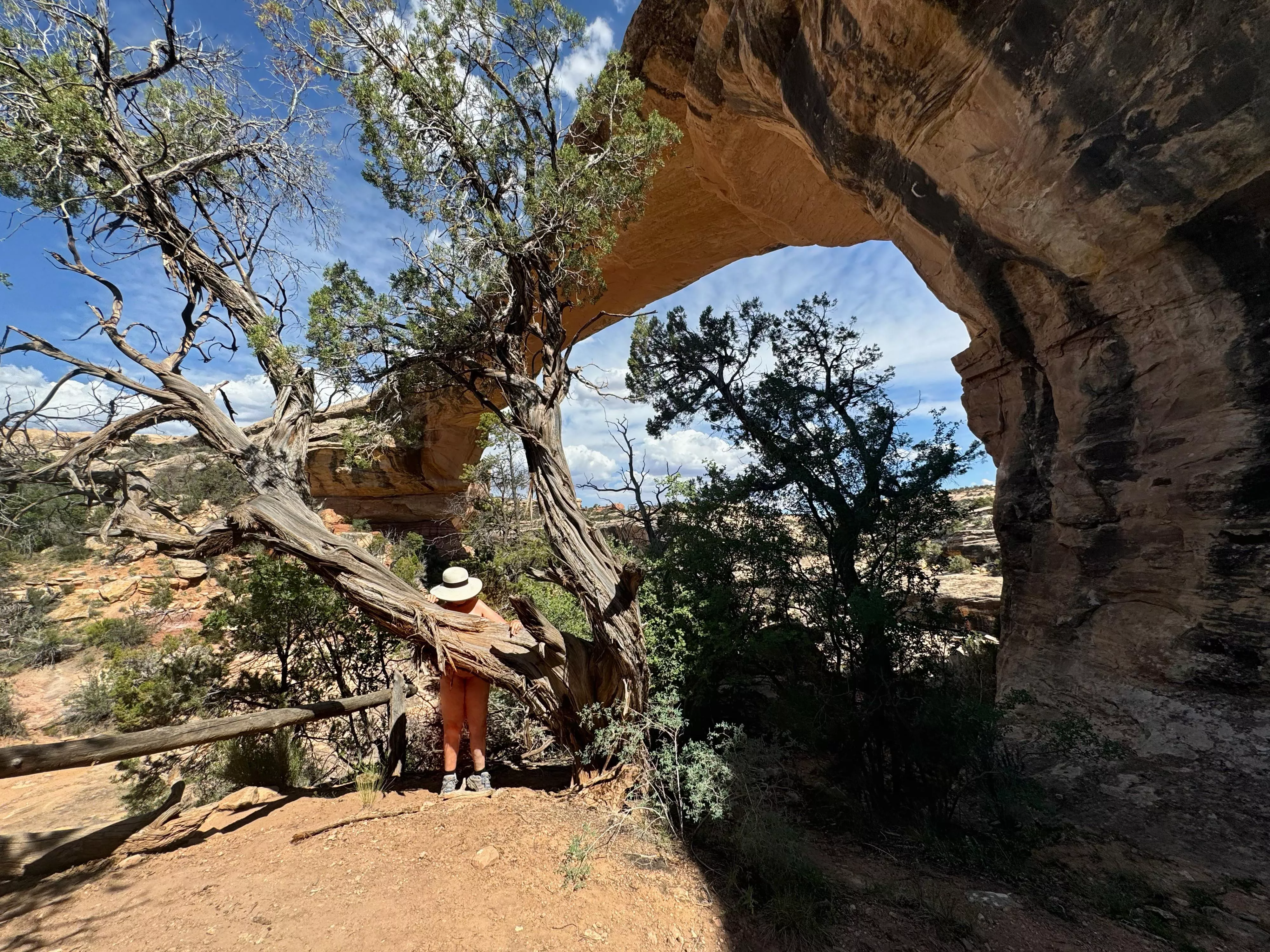 Do you think they saw me [F] 🤭