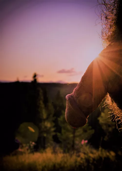 don't let the sun go down on me