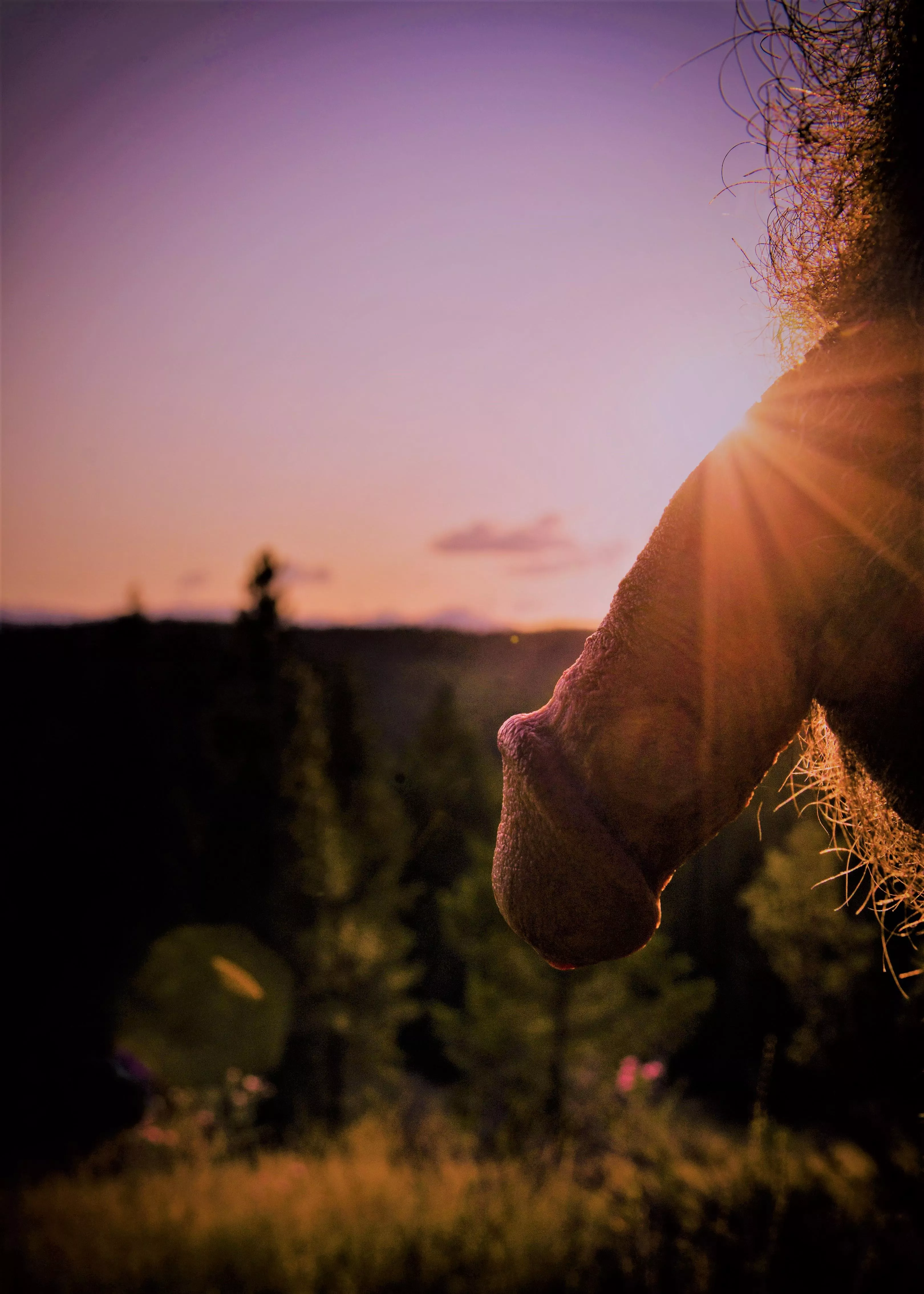 don't let the sun go down on me