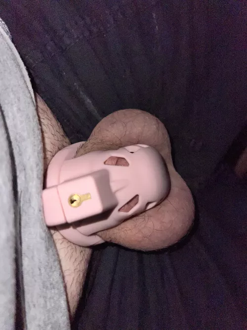 Driving around town showing my cage