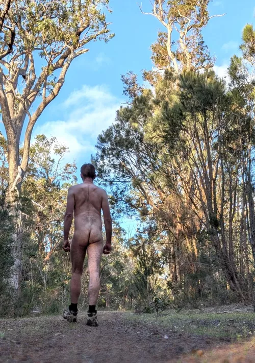 Freedom exploring the bush