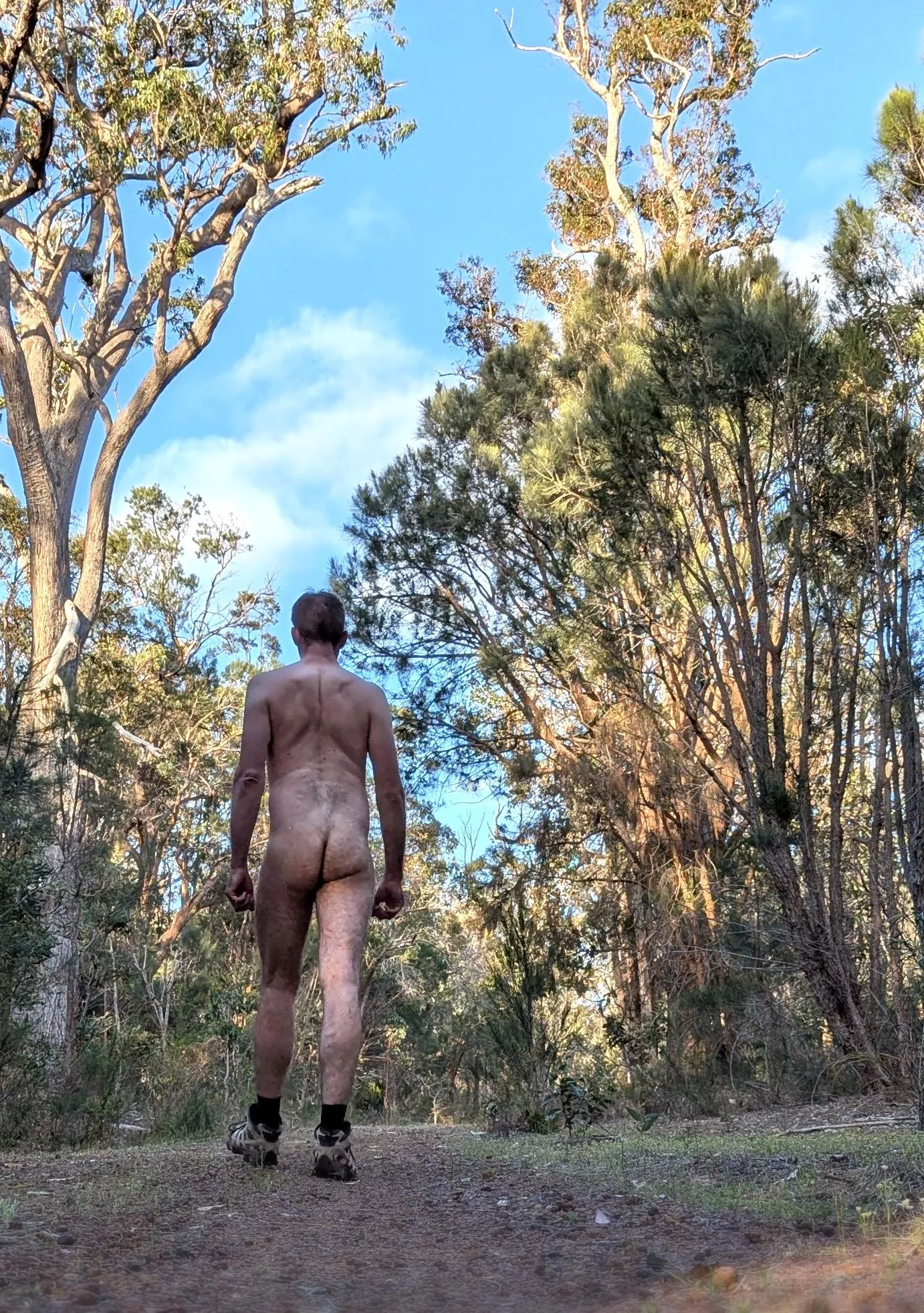 Freedom exploring the bush