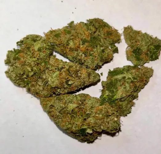 Green Crack From THCA Paradise!