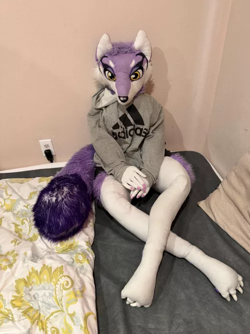 Here’s another pic of Lilac :3