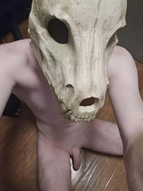 Hi im rider new to this so hopefully y'all enjoy the content 