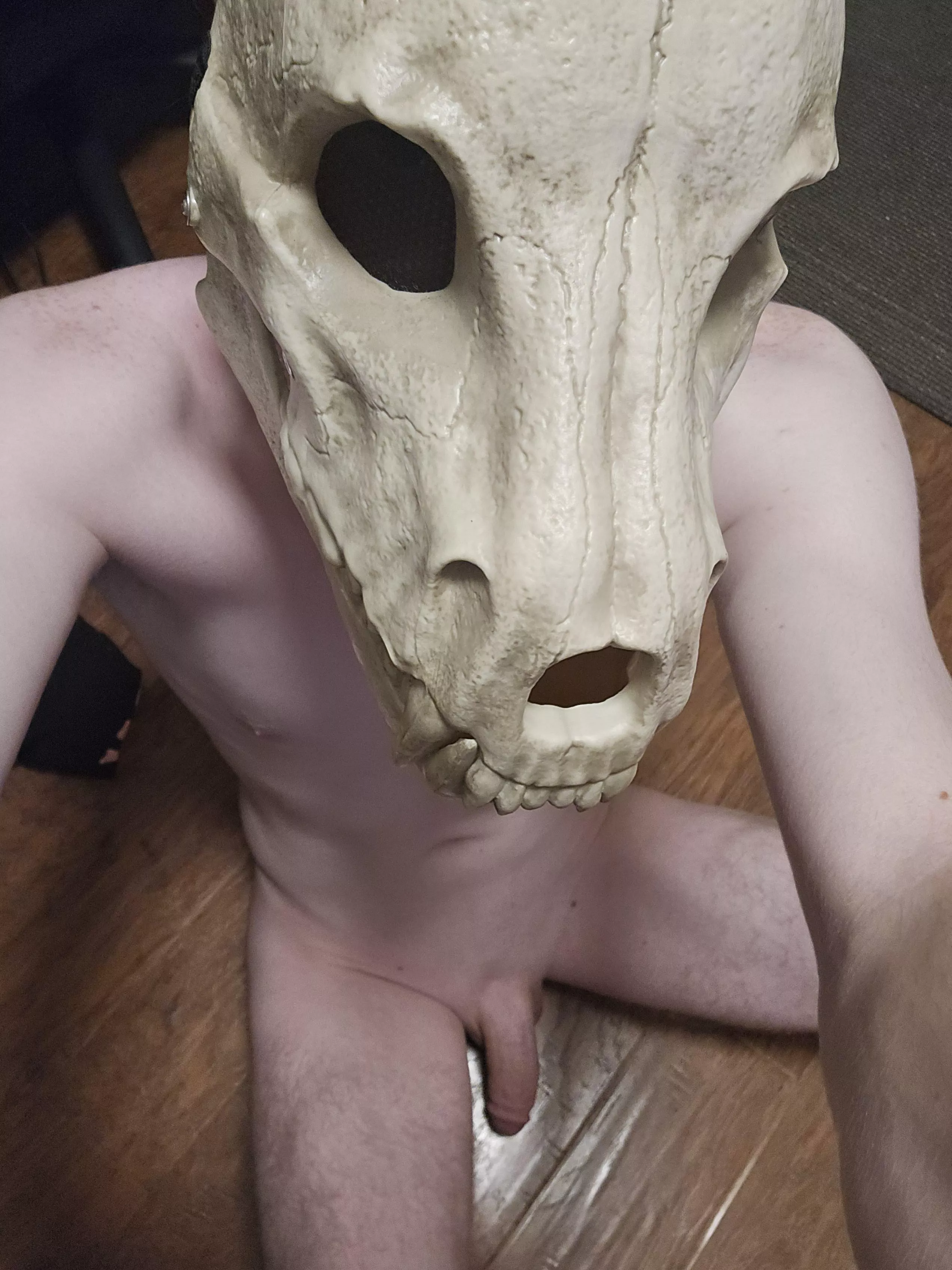 Hi im rider new to this so hopefully y'all enjoy the content 