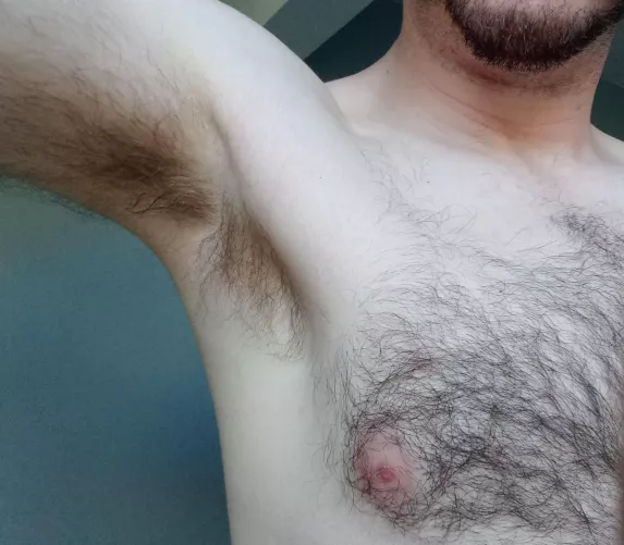 I never trim my chest hair 