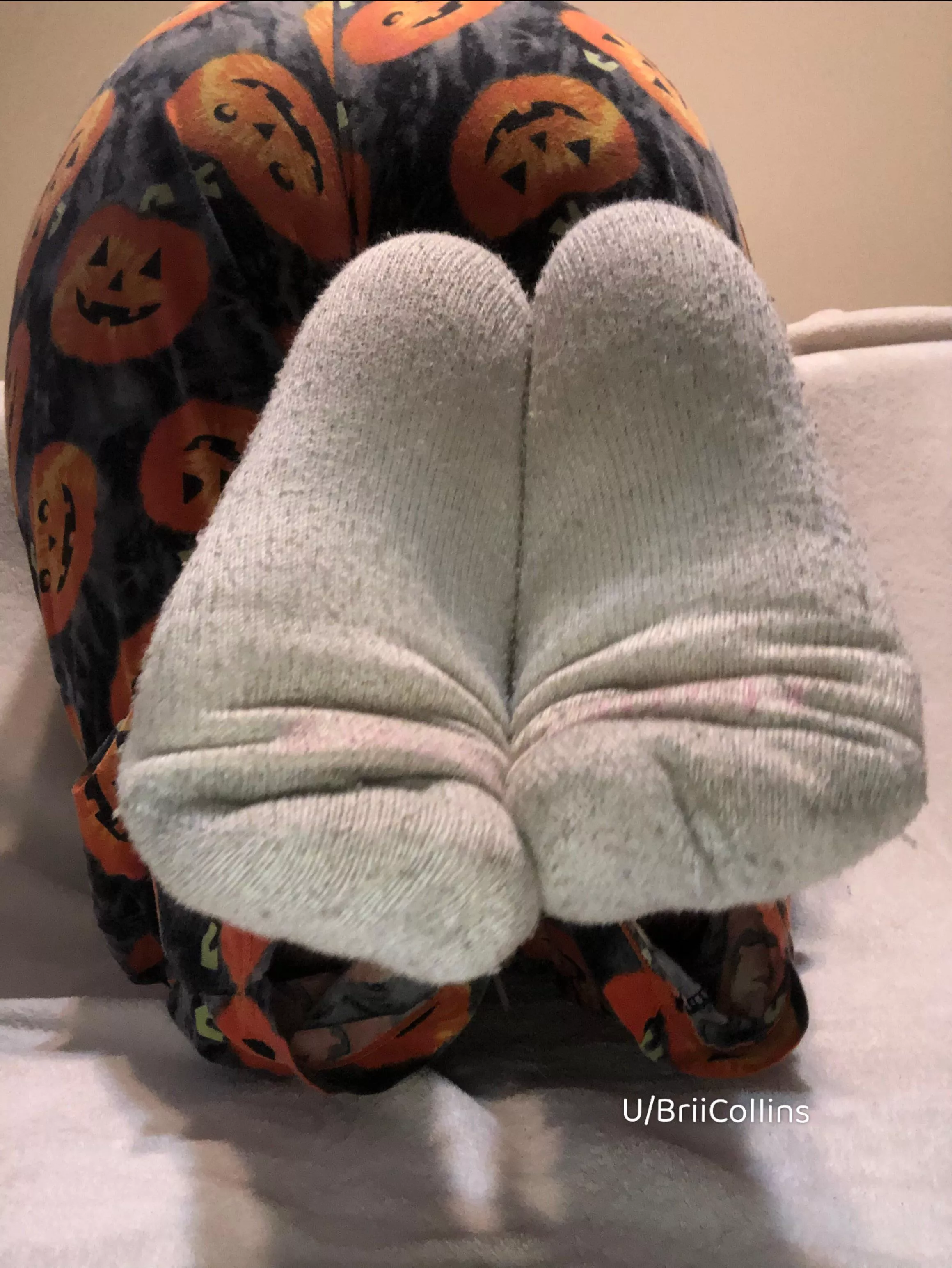 If only you could shove your nose in then [f] 