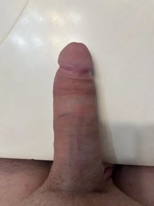 M4F/MF
