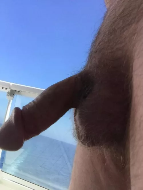 [M4MF] [M4F] Reflection 11-4/11-9 