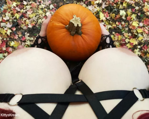 My view of a couple of pumpkins