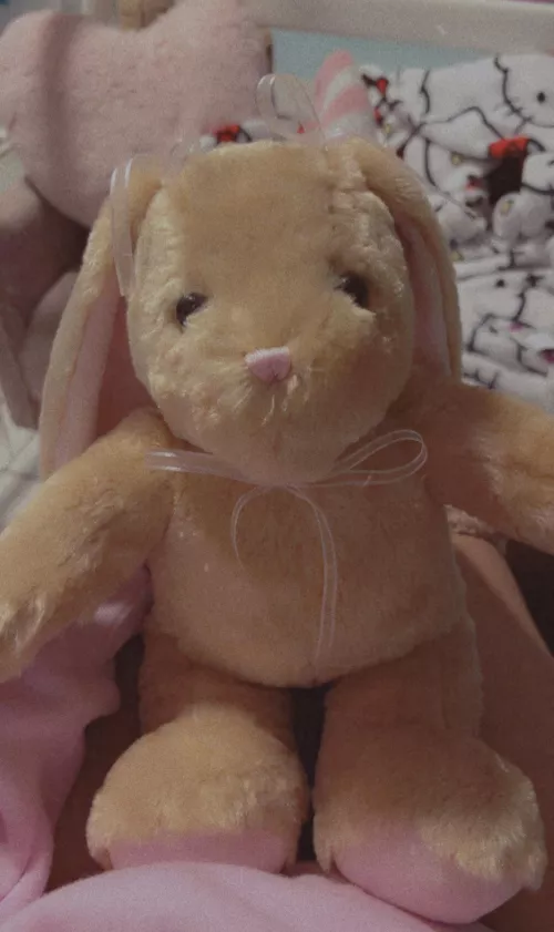 New stuffie 🐇💗