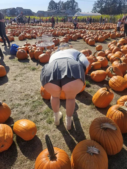 #Oregon has the nicest pumpkins 🎃 