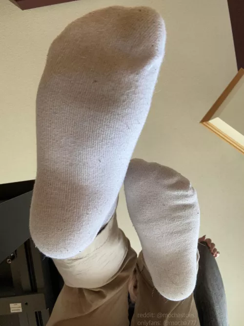 They're ready for their new home!😼 [F]