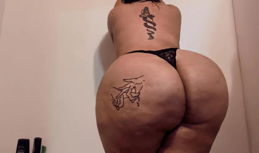 Who wants to breed me with their BWC? 