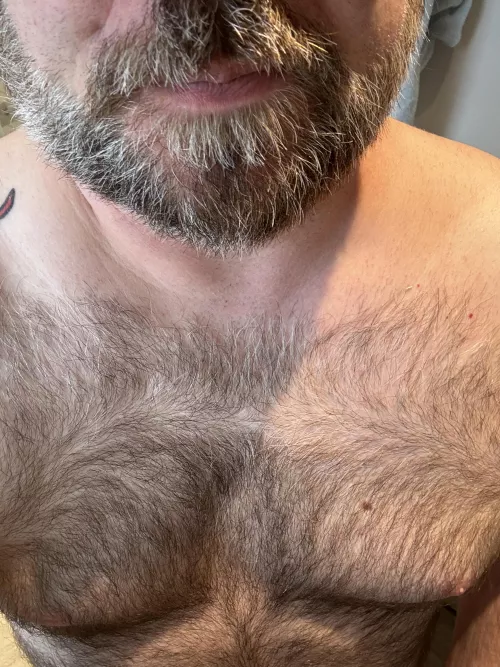 48 [M4F] Bearded Dadbod Seeking…