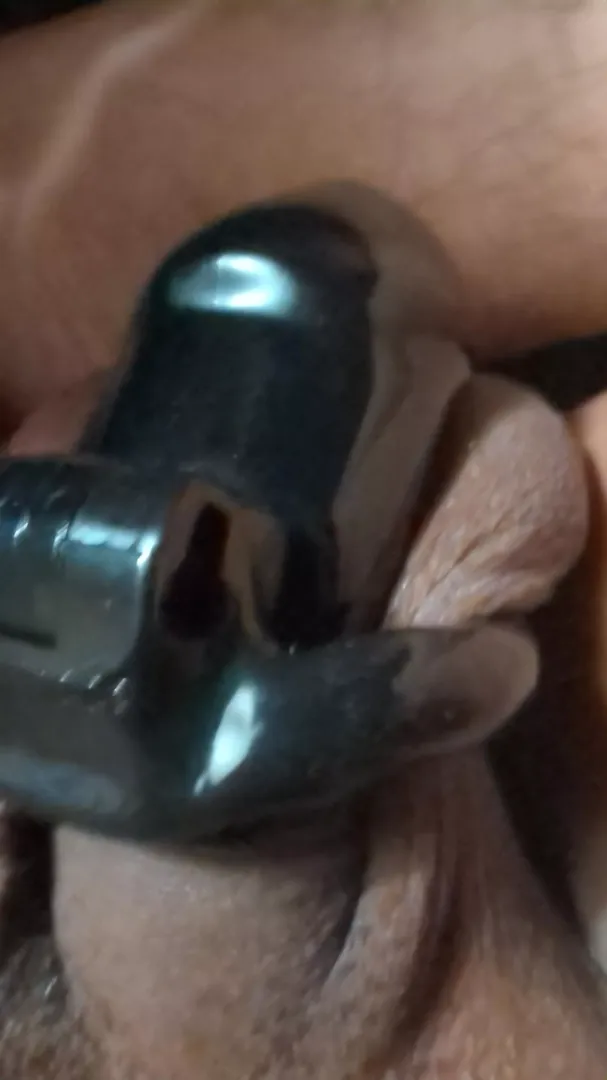 Any hung BBC want to fuck. Cnj