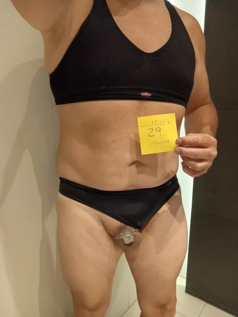 Day 29, only 2 more to finish locktober! Or not?