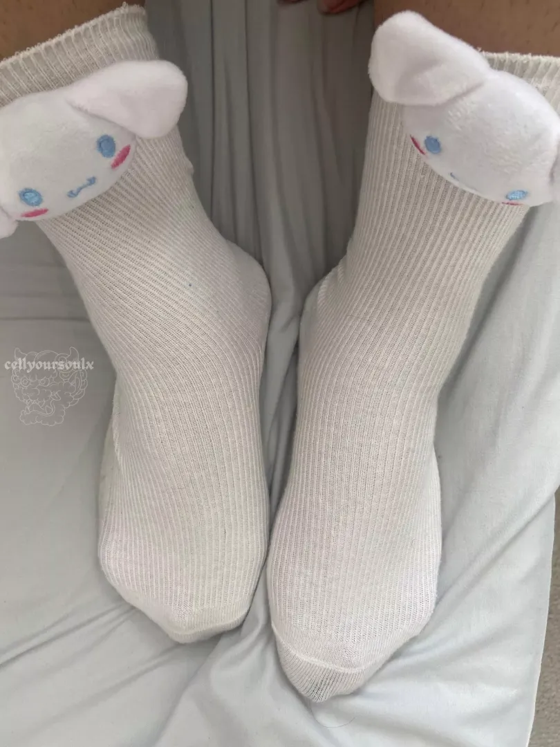 i know you’re sniffing my cute white socks through your screen, freak