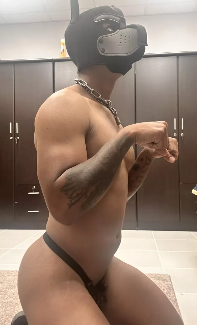 I would love a bone right about now 🦴🥺