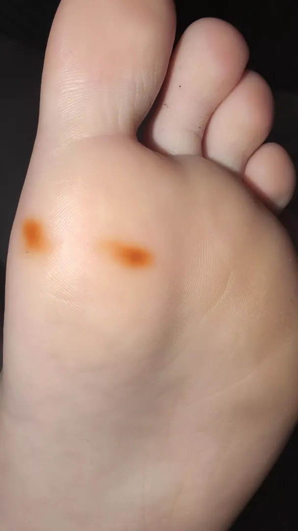 Little brother went to a friend's house for a few hours and this happened