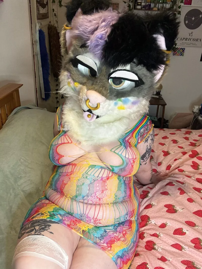 Make this thick kitty purr