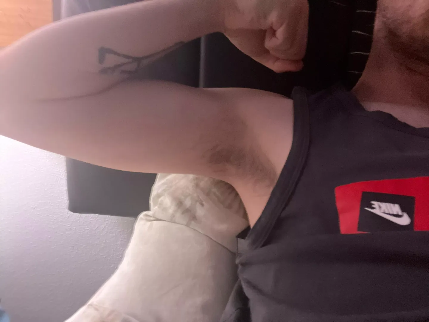 Trimmed 22M