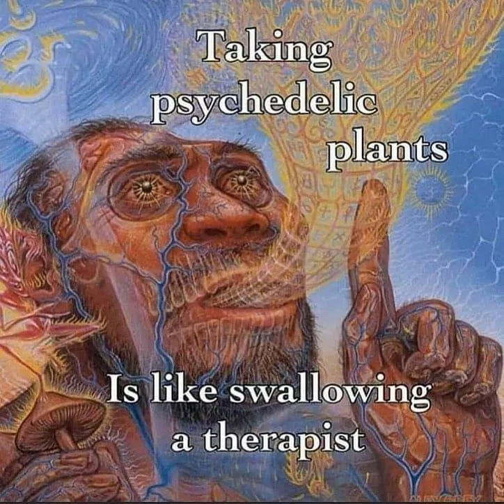 🍄🪄🧘