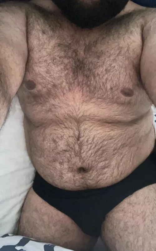 21 bottom bear, looking for male affection