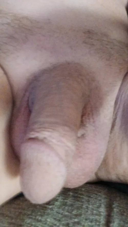 71, Randolph County...