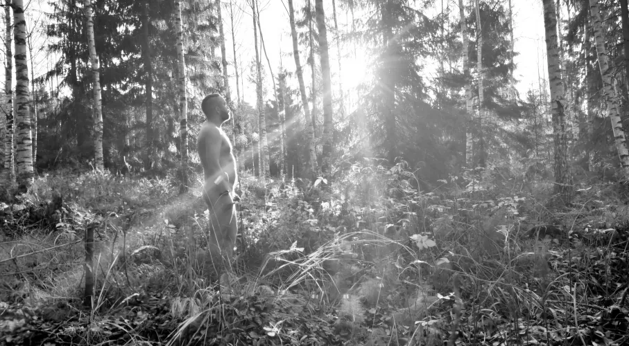 A morning in the forest