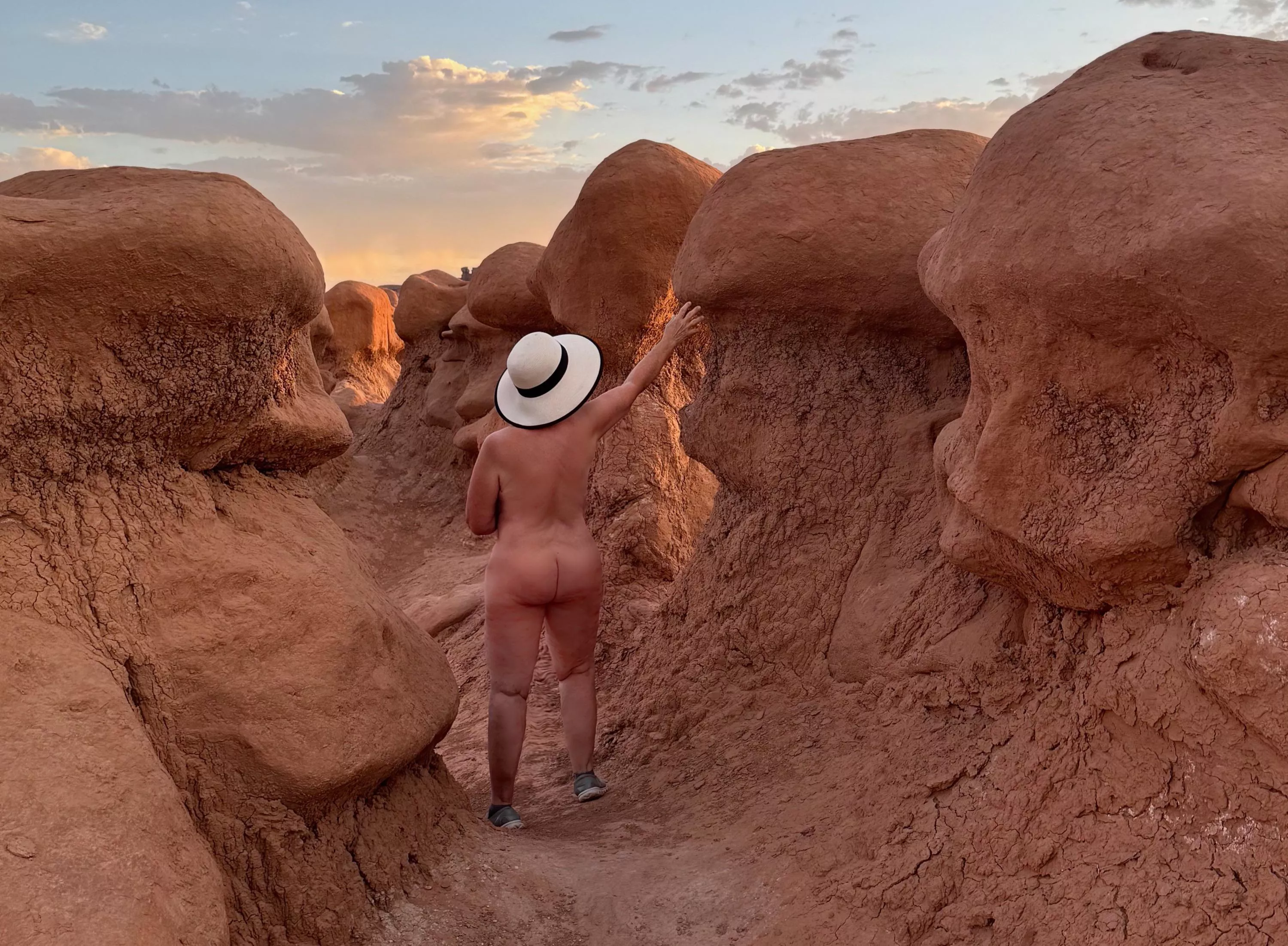 A Walk on the wild side 