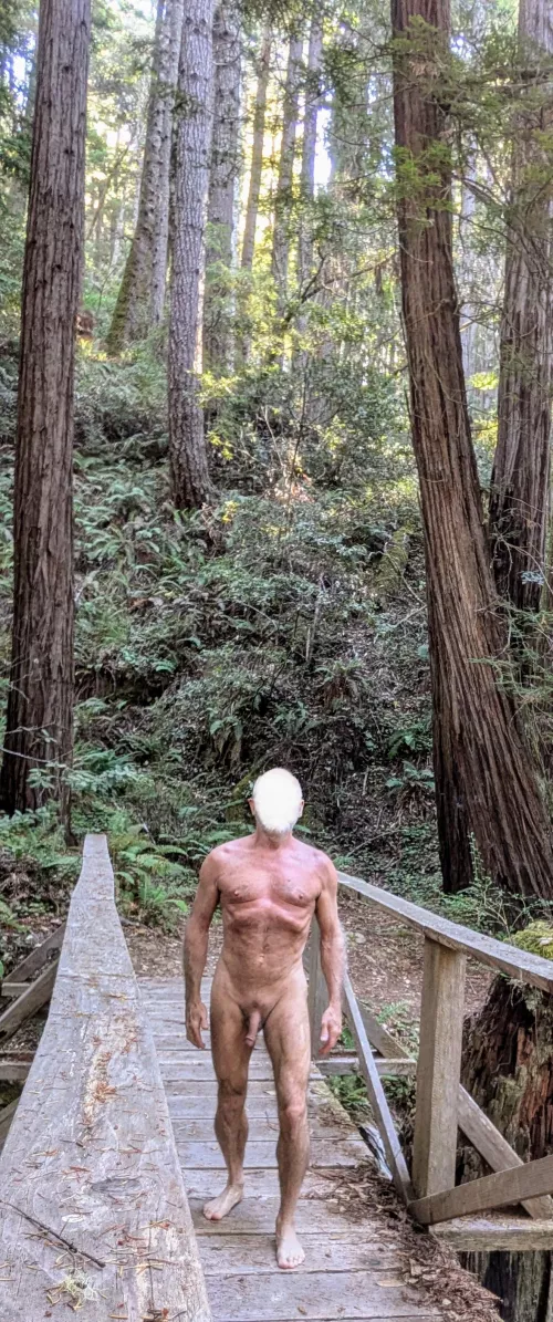Abridged version of my nude hike in the redwoods.