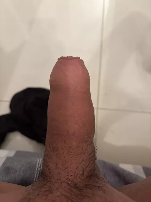 Any ladies into uncut dick?