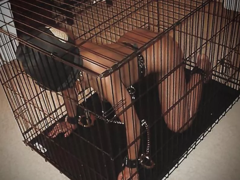 BDSM: The playground for the naughty and adventurous