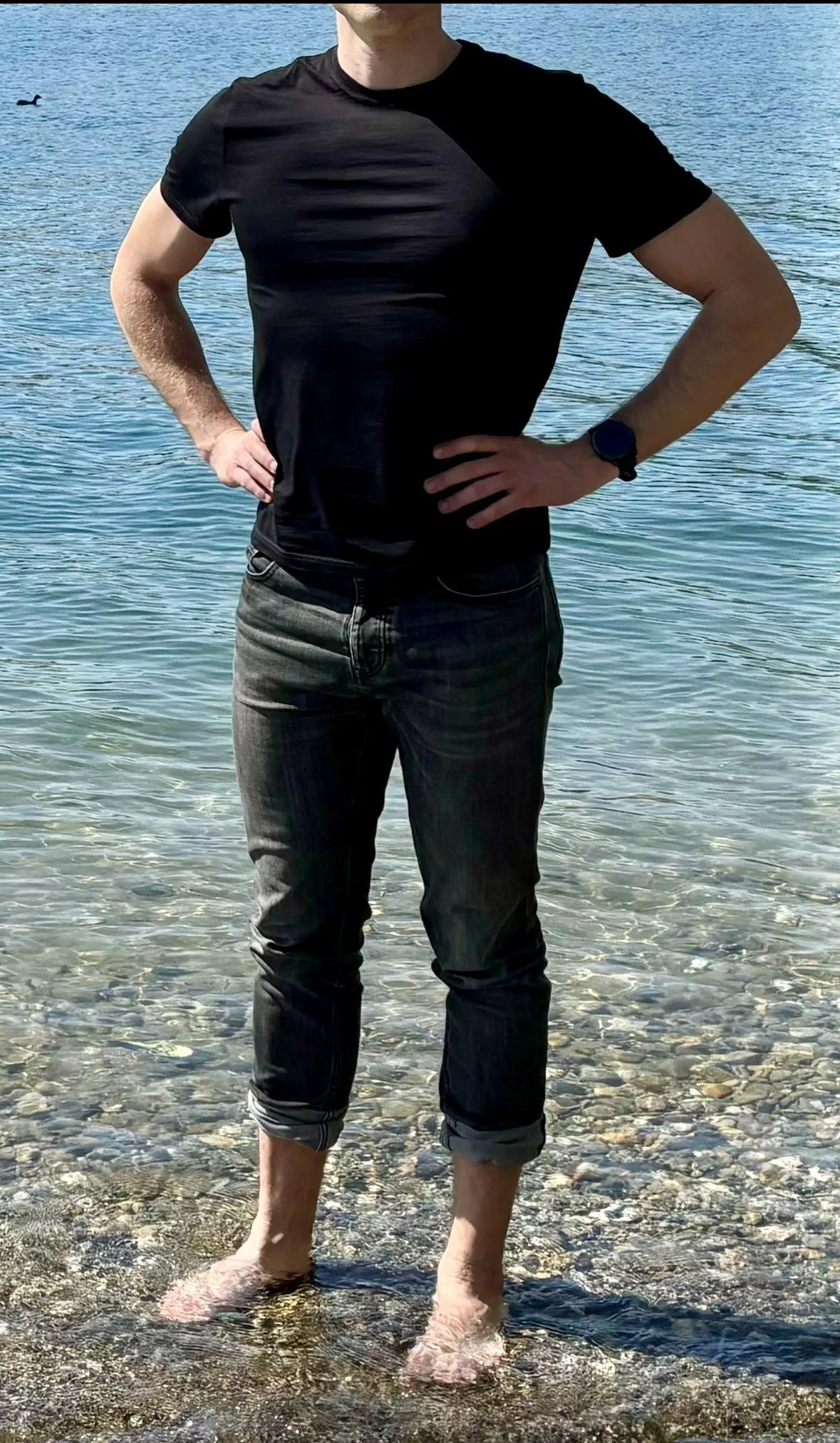 Bull available for SG meetups