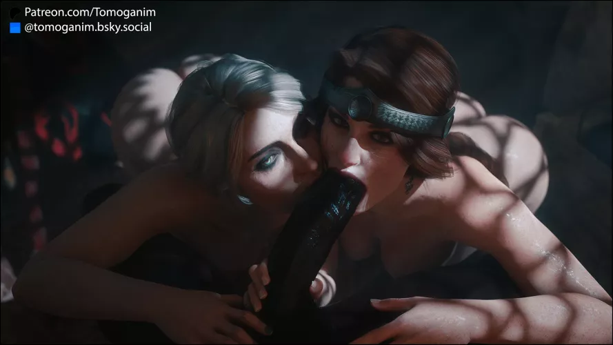 Ciri and Cerys (Tomoganim)