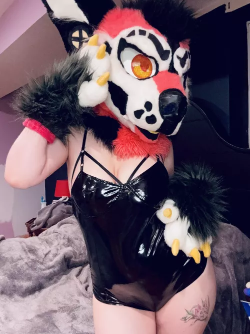 Do you like the sounds that shiny material makes? 🤭🐾🖤 Socials: Styradoggy