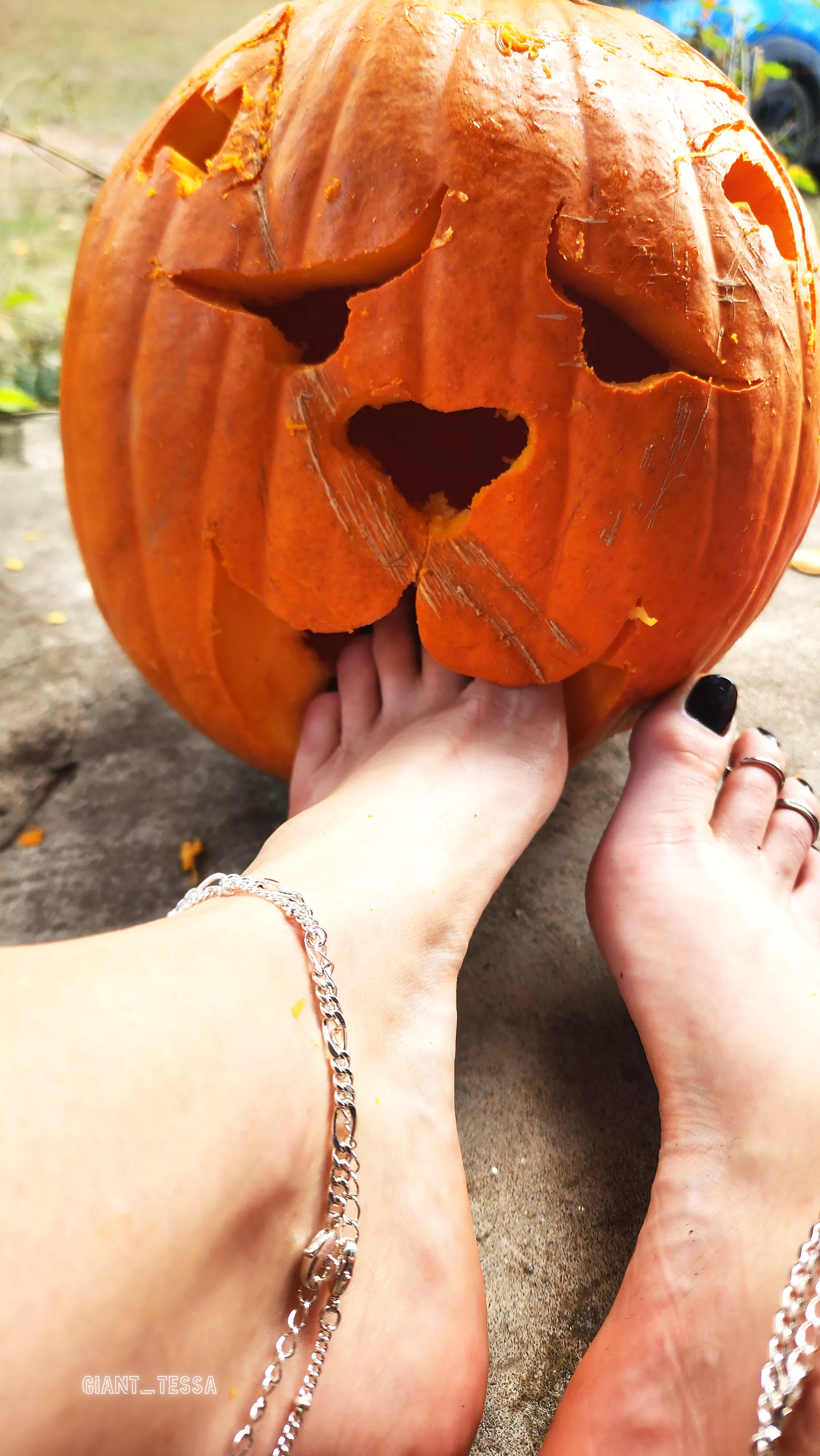 Drop a 🎃 if you want to be this pumpkin right now 😛