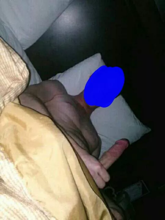 Experienced Bull 44 Flint area 