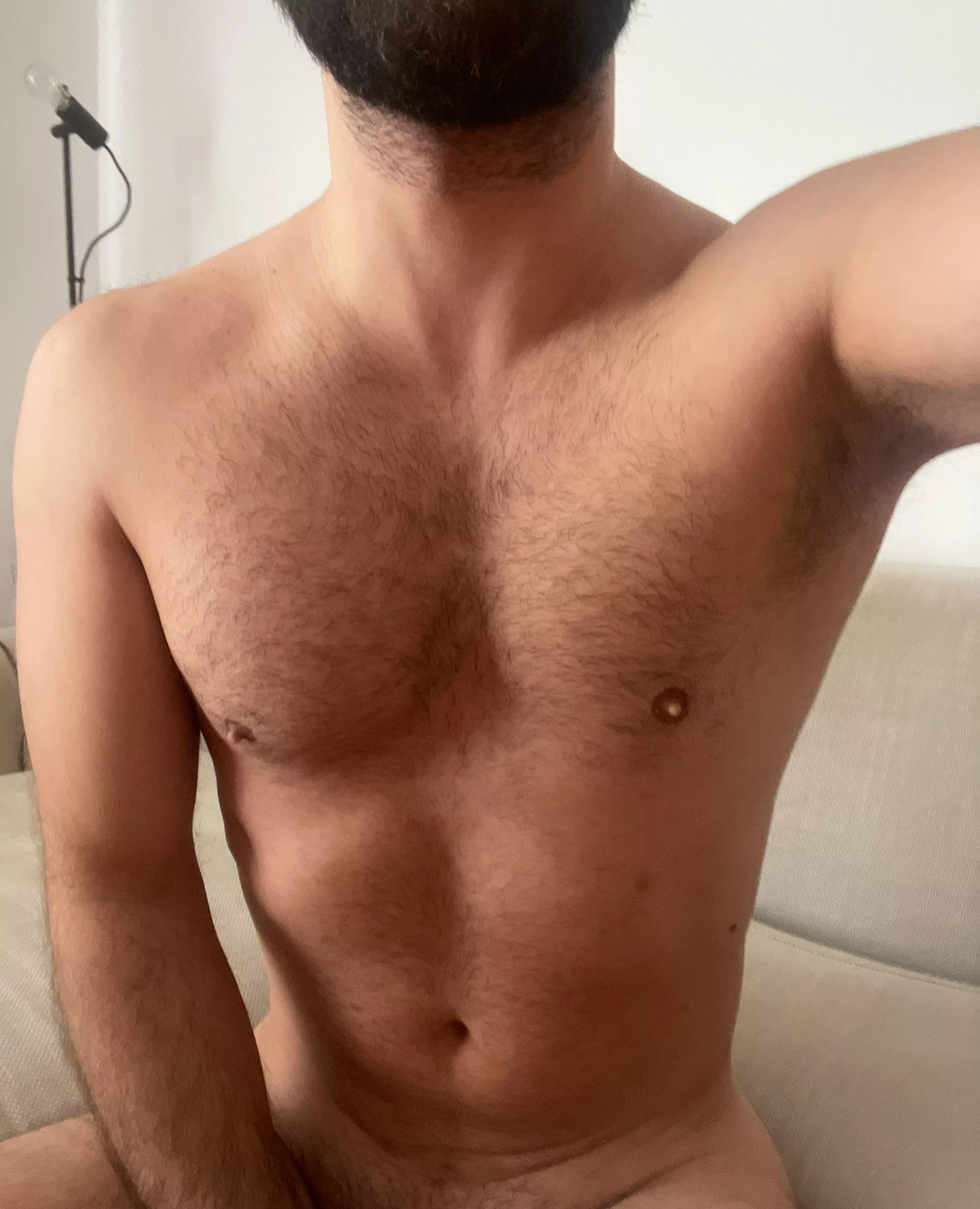 got some beard, got some porn