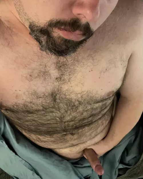 Home alone woke up like this wishing I had a buddy here with me! 